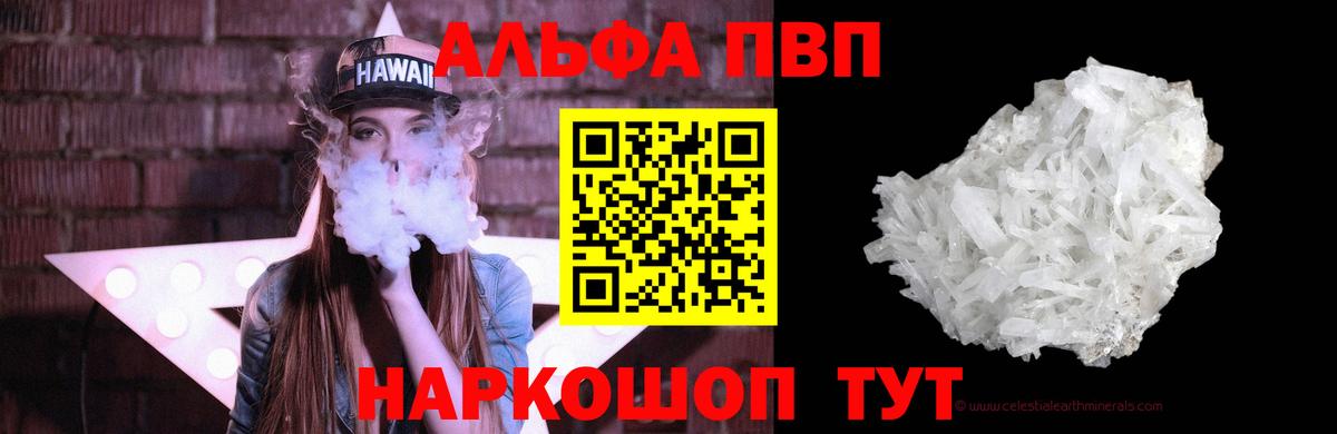 A-PVP СК Сегежа