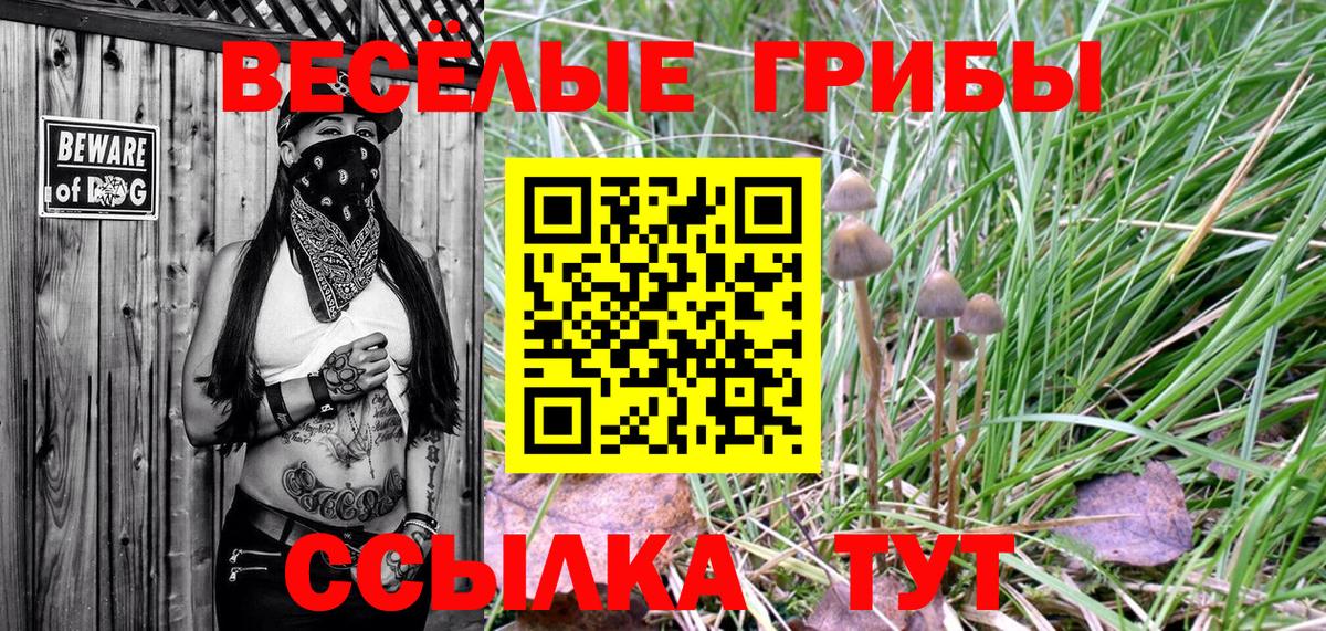 Галлюциногенные грибы мухоморы Сегежа