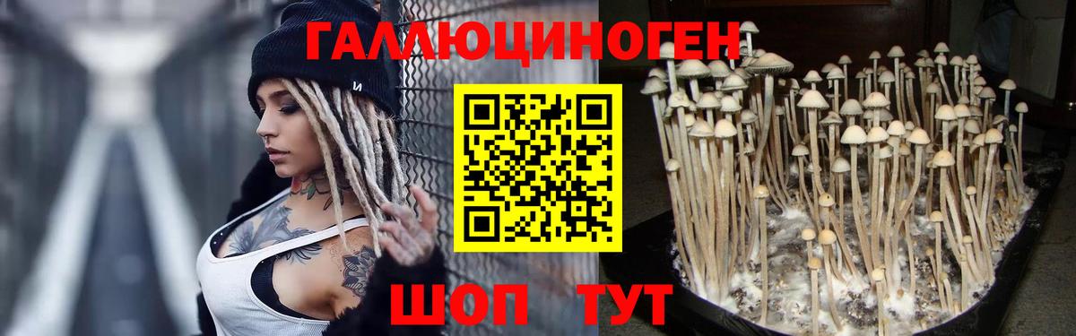 Сегежа  Псилоцибиновые грибы GOLDEN TEACHER  Вход с VPN 